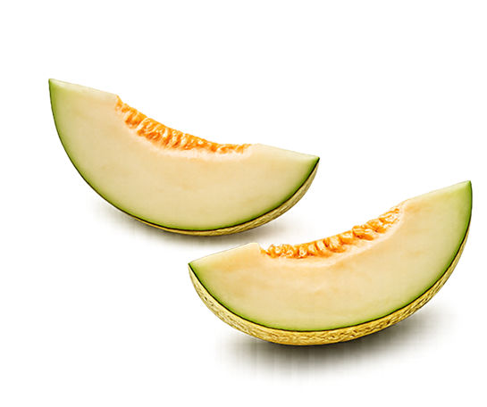 Melon